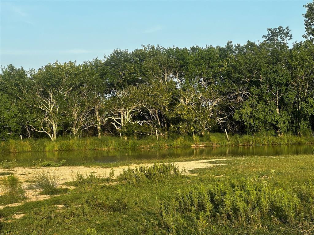 6616 Mieth Road, Sealy, Texas image 2