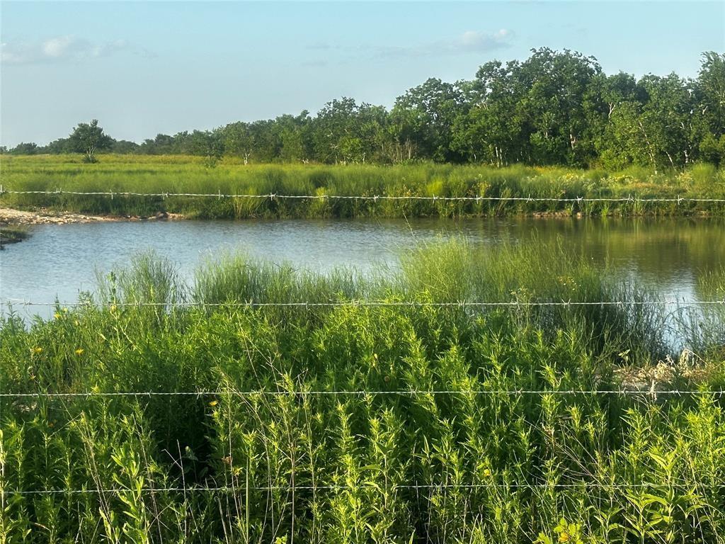 6616 Mieth Road, Sealy, Texas image 1