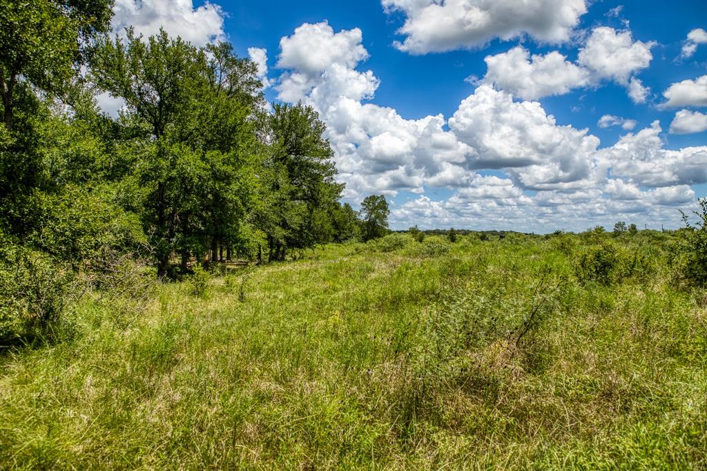 835 County Road 104, Caldwell, Texas image 38