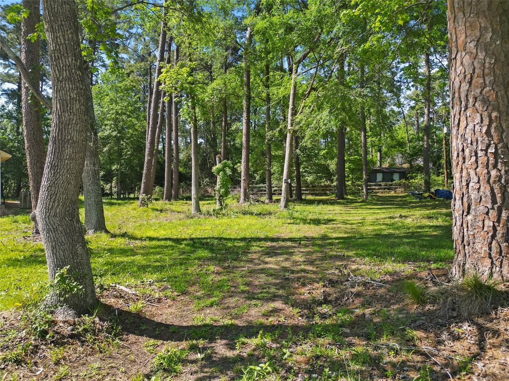 TBD Tupelo Lane, Conroe, Texas image 2