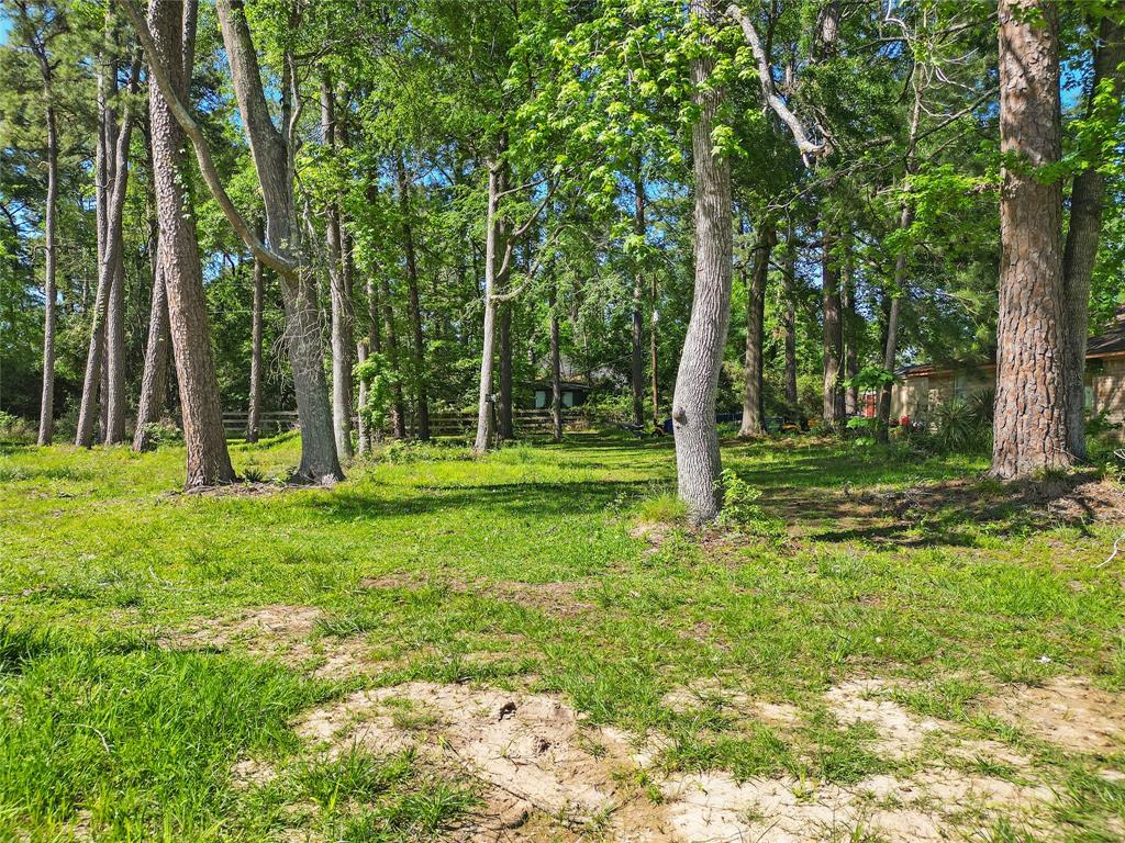 TBD Tupelo Lane, Conroe, Texas image 3