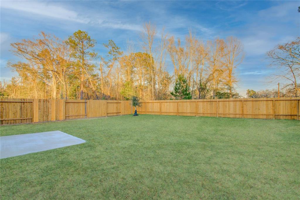 10699 Lost Maples Drive, Cleveland, Texas image 31