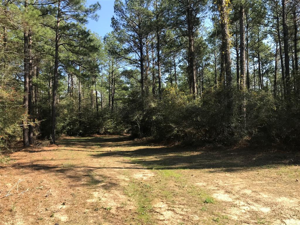 802 Cr 483 Road, Broaddus, Texas image 9