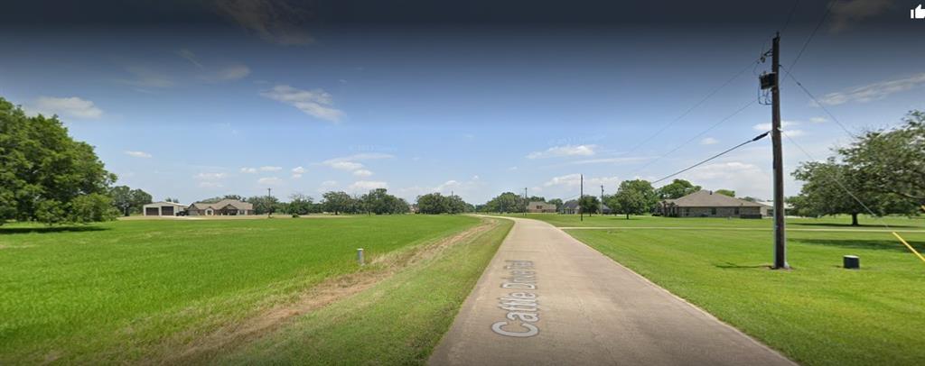 271 Cattle Drive Trail, Angleton, Texas image 20