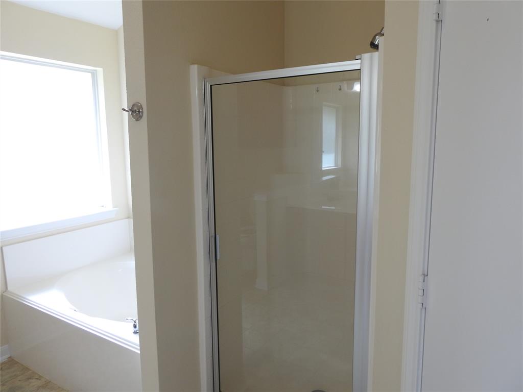 3934 Tranquil Path Drive, College Station, Texas image 12