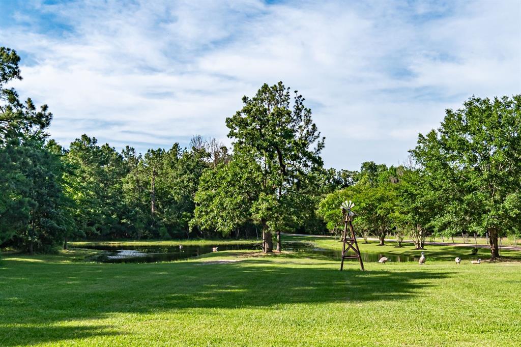 27220 Rice Road, Hockley, Texas image 5