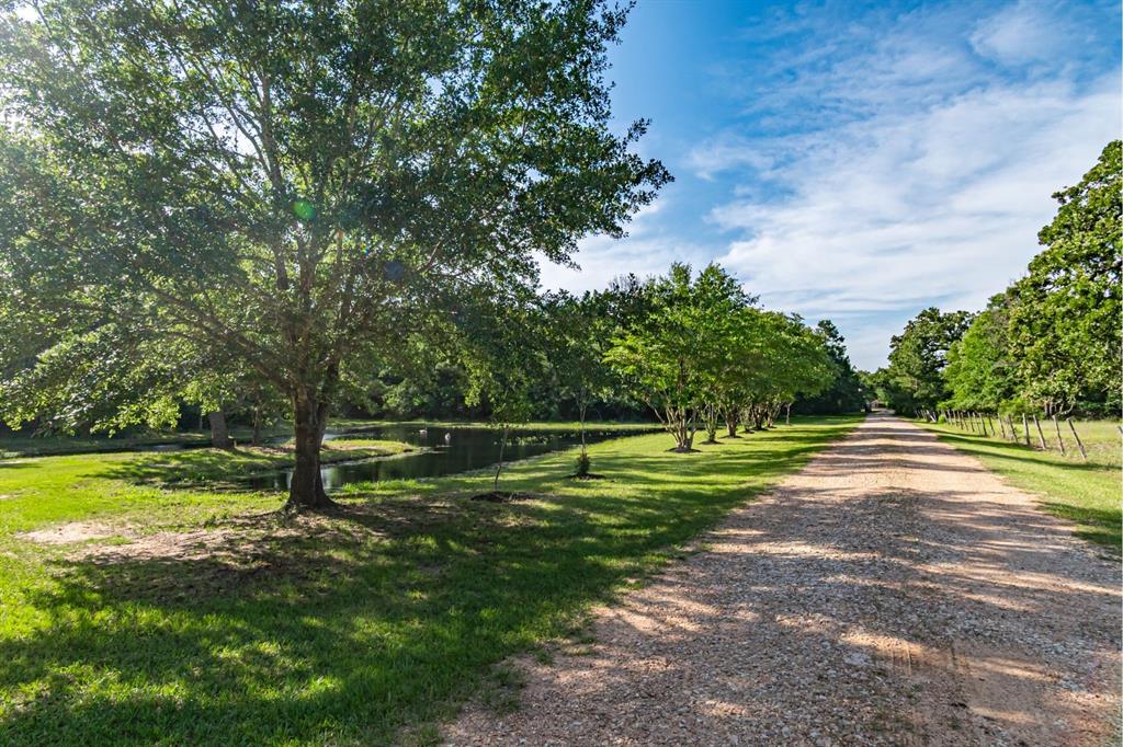 27220 Rice Road, Hockley, Texas image 25