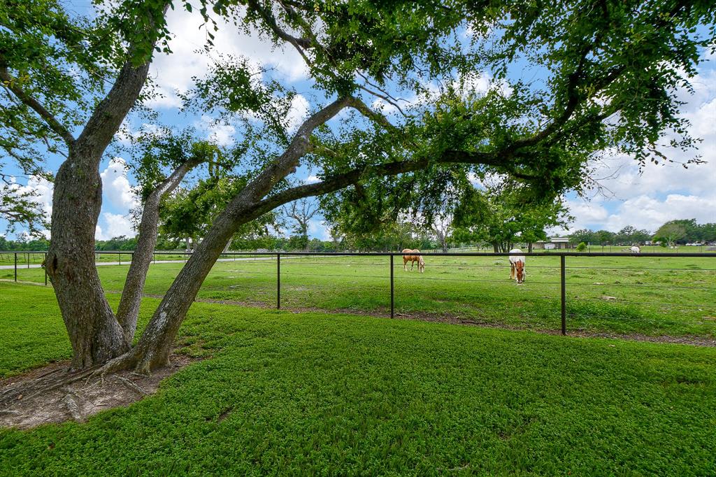 1648 Meissner Road, Bellville, Texas image 47