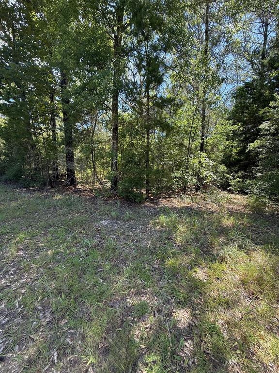TBD Camelot Drive, Ivanhoe, Texas image 6