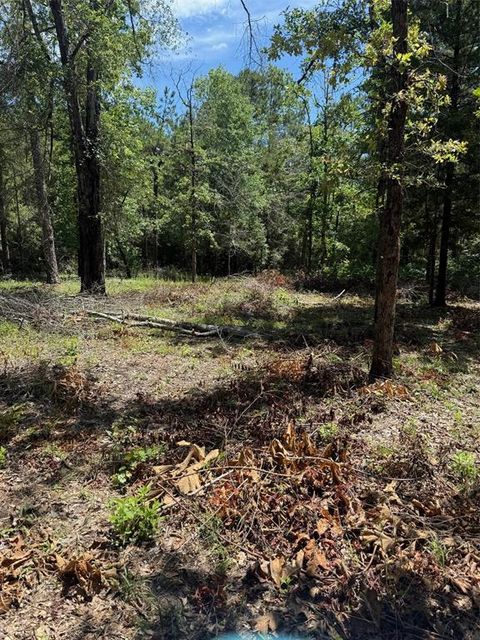 Photo of TBD Camelot Drive, Ivanhoe, TX 75979 (MLS # 15971223)