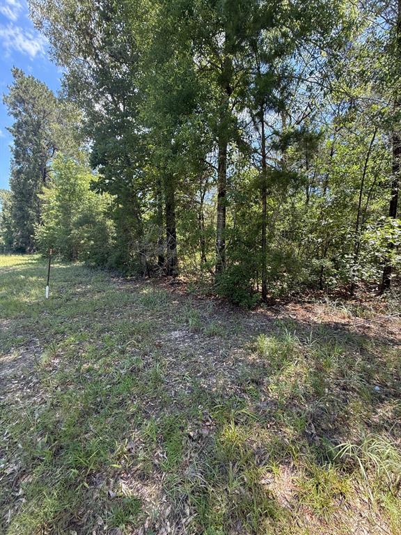 TBD Camelot Drive, Ivanhoe, Texas image 4