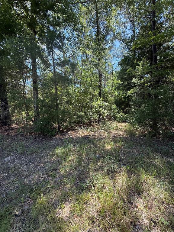 TBD Camelot Drive, Ivanhoe, Texas image 3