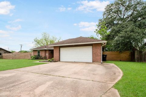 Single Family Residence in Brazoria TX 1008 Masonic Oak Drive 47.jpg