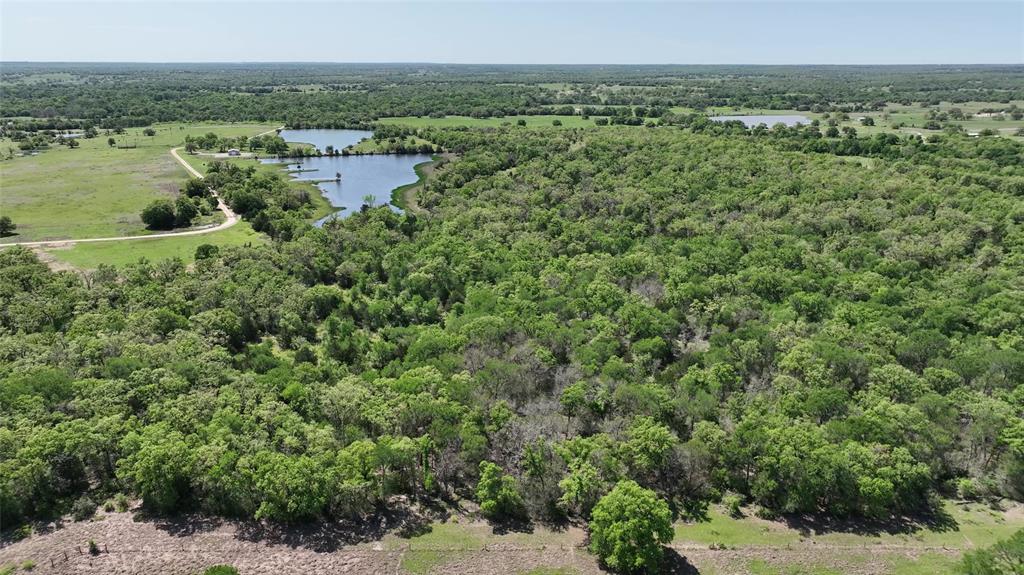 County Road 119, Ledbetter, Texas image 12