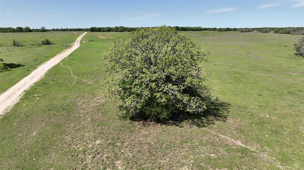 County Road 119, Ledbetter, Texas image 26