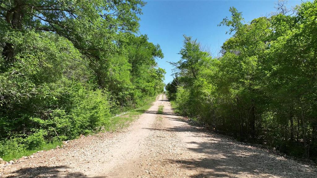 County Road 119, Ledbetter, Texas image 10