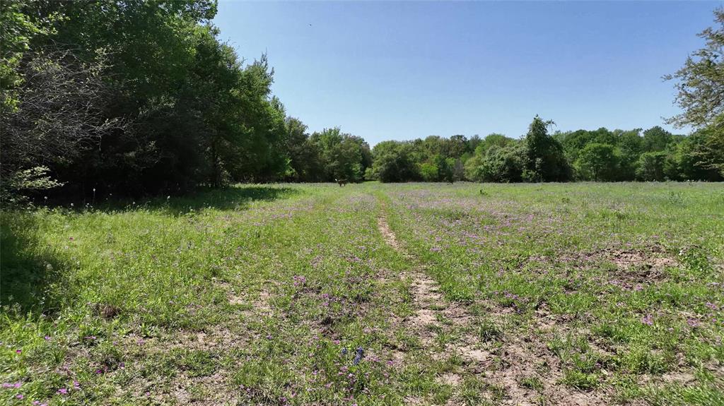 County Road 119, Ledbetter, Texas image 33