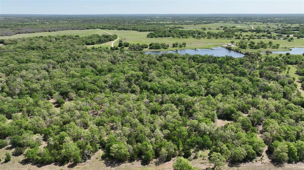 County Road 119, Ledbetter, Texas image 14