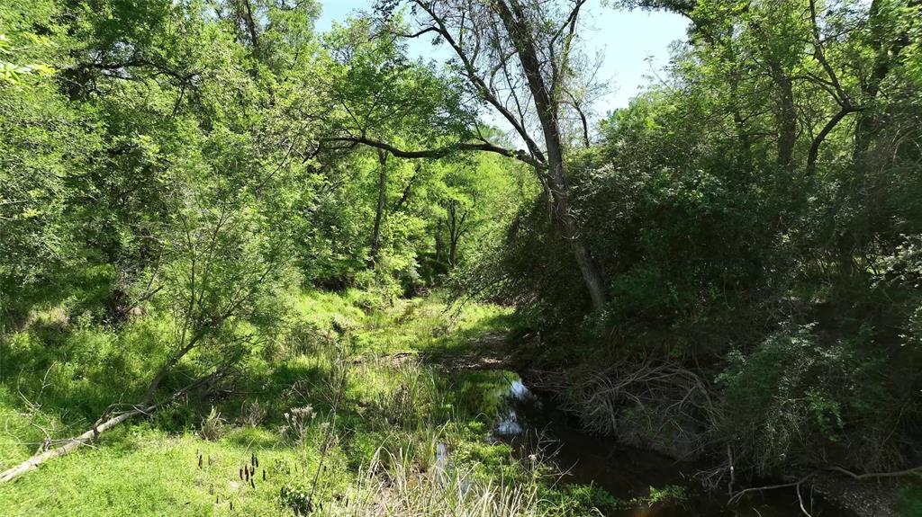 County Road 119, Ledbetter, Texas image 32