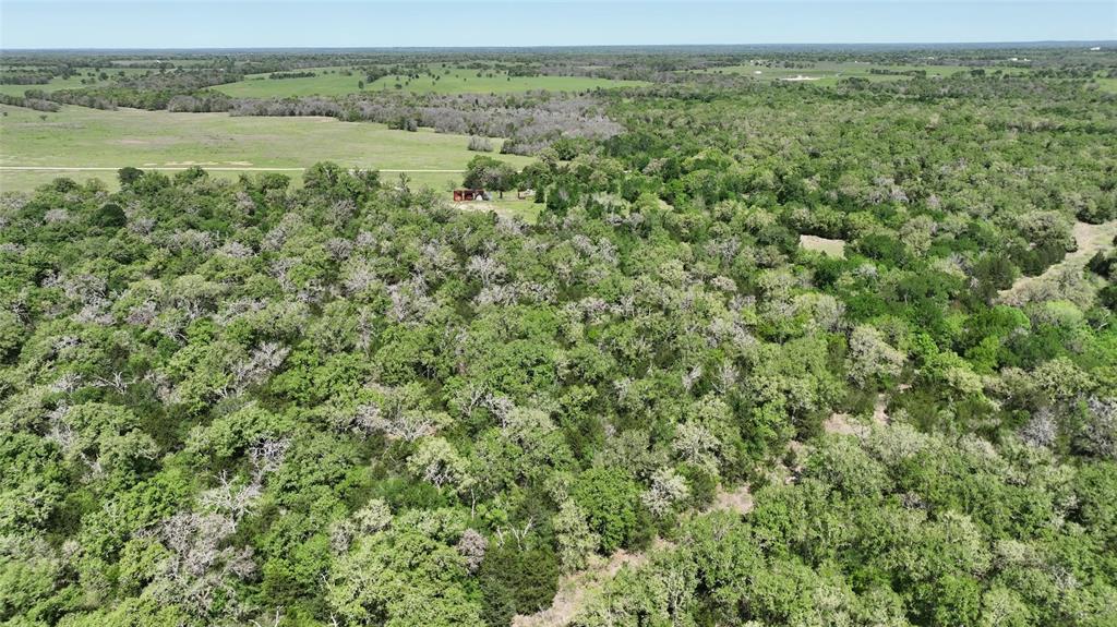 County Road 119, Ledbetter, Texas image 25