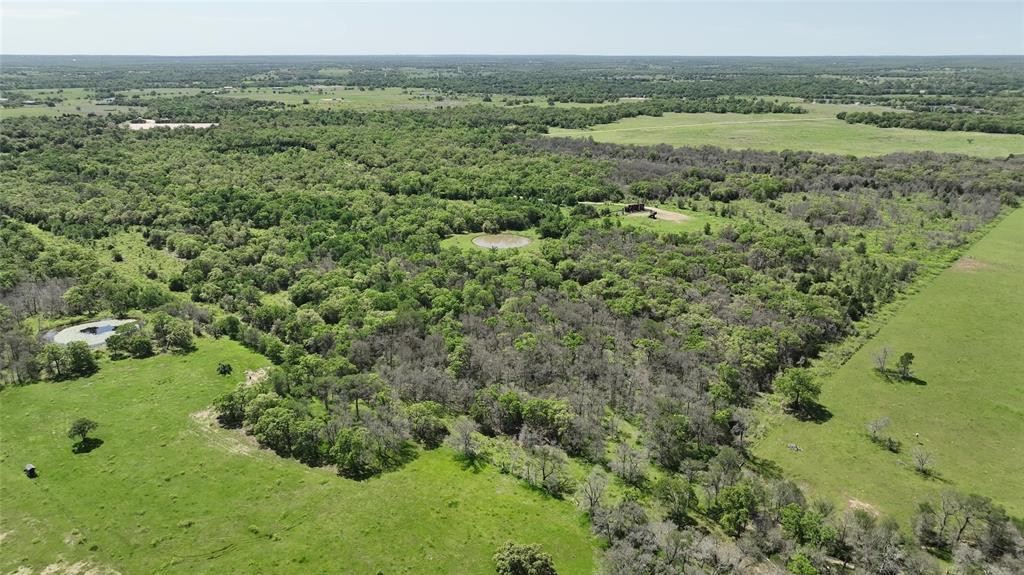 County Road 119, Ledbetter, Texas image 4