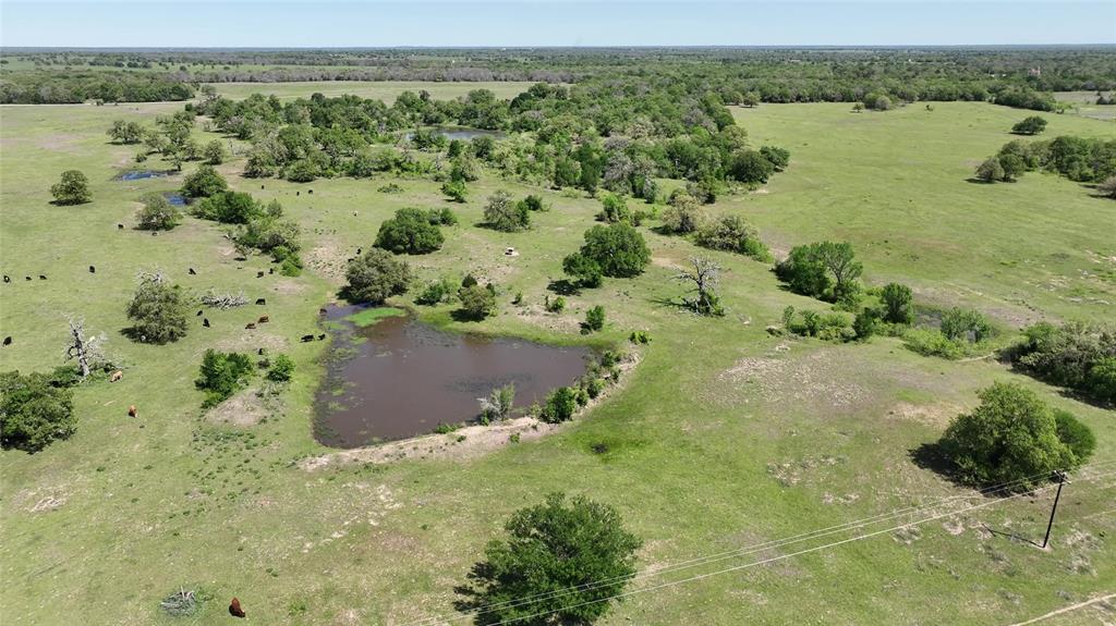 County Road 119, Ledbetter, Texas image 22