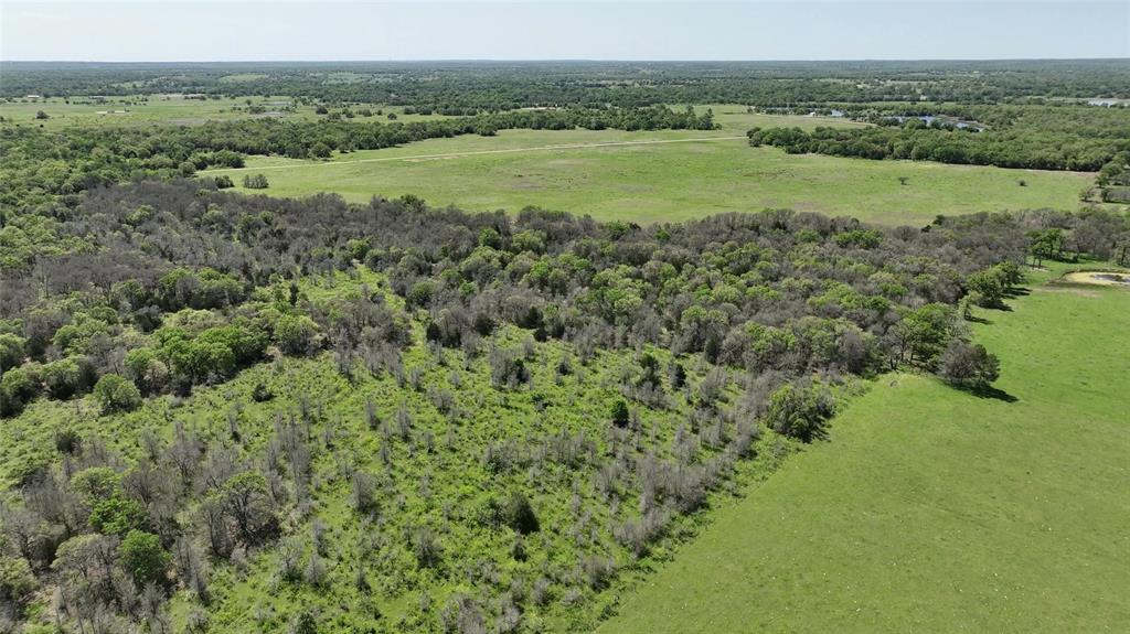 County Road 119, Ledbetter, Texas image 9