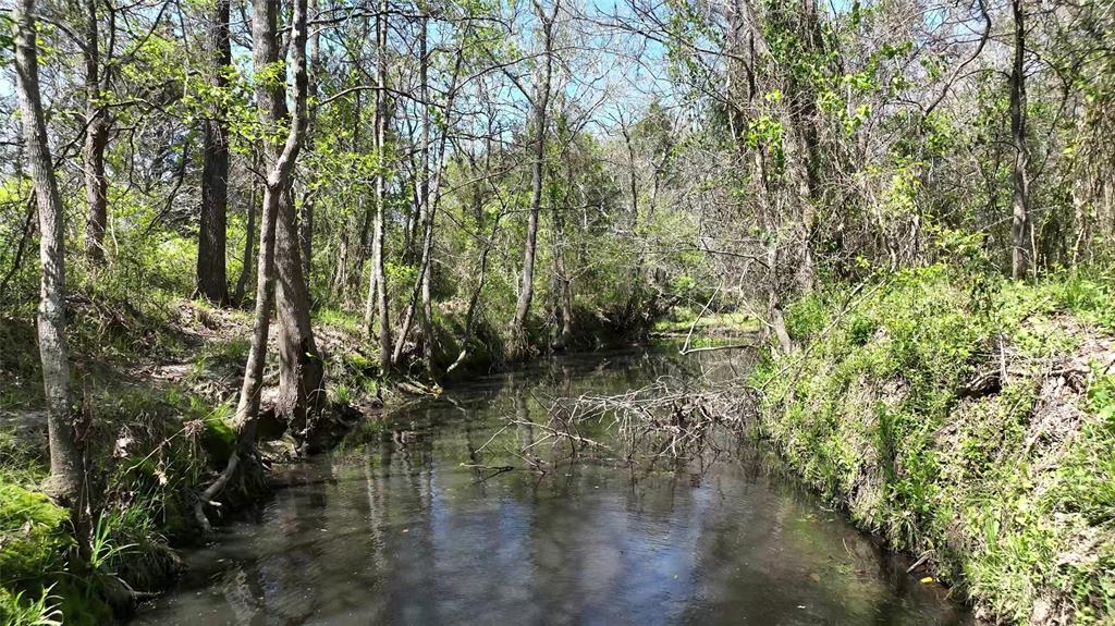 County Road 119, Ledbetter, Texas image 2