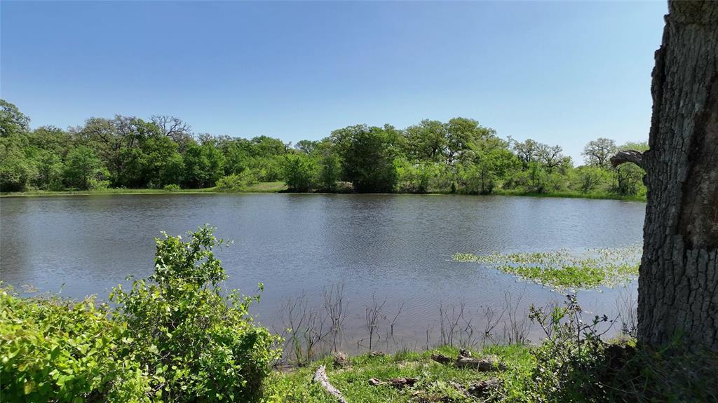 County Road 119, Ledbetter, Texas image 23