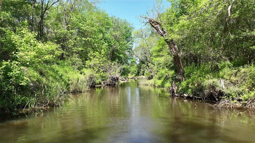 County Road 119, Ledbetter, Texas image 31