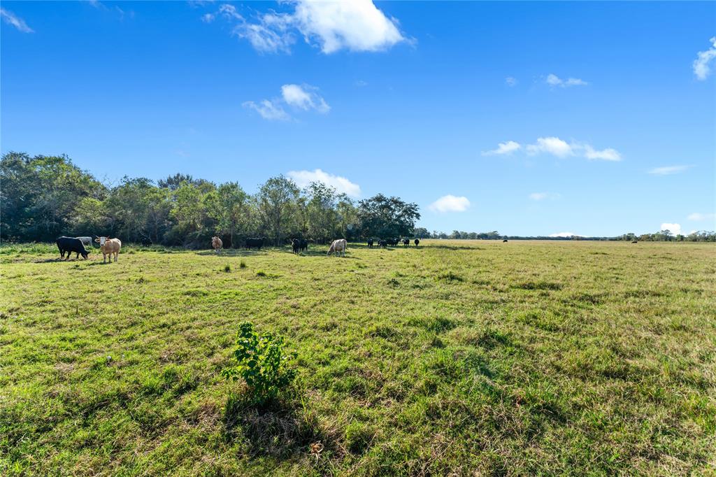 Fm 762, Needville, Texas image 19