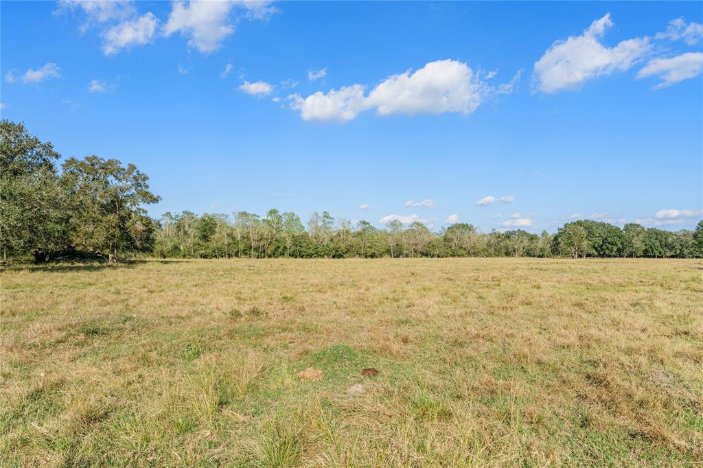 Fm 762, Needville, Texas image 15