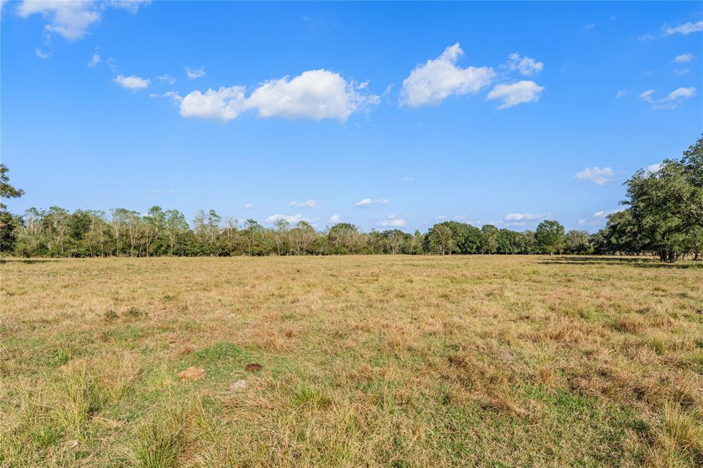 Fm 762, Needville, Texas image 14