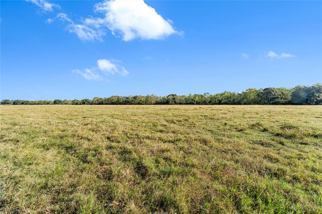 Fm 762, Needville, Texas image 27