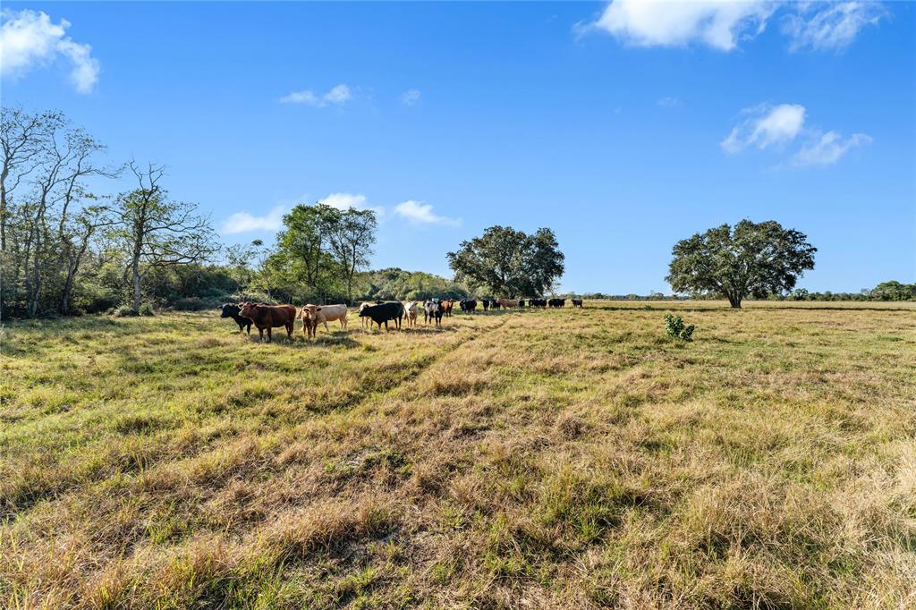 Fm 762, Needville, Texas image 22