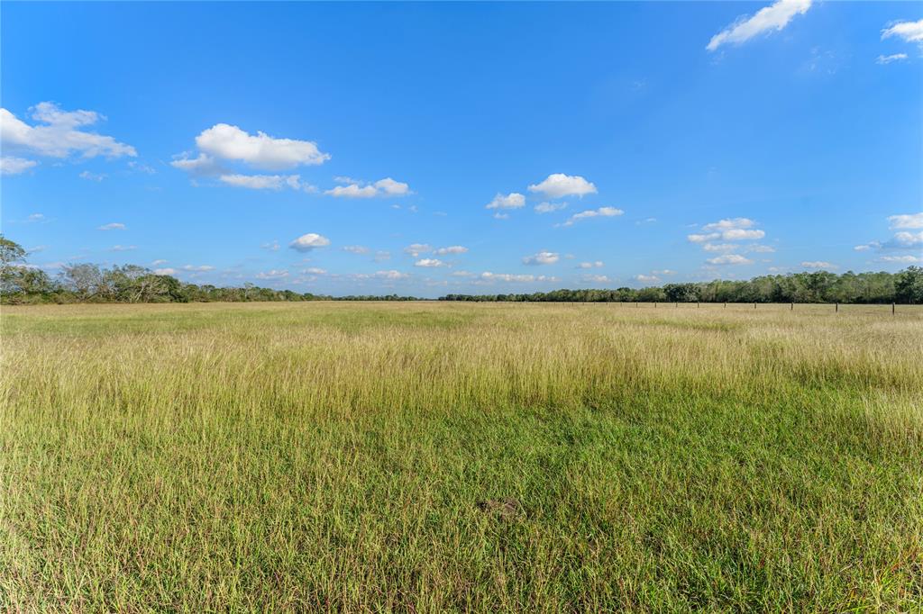 Fm 762, Needville, Texas image 10