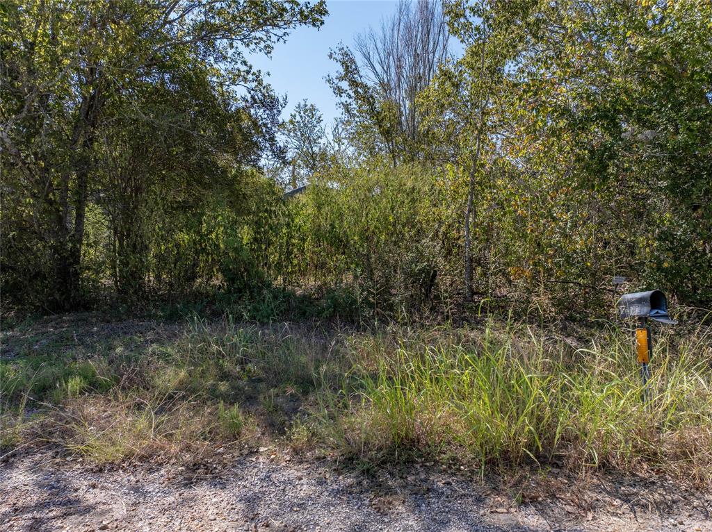 6625 Tx-loop 220, Plum, Texas image 10