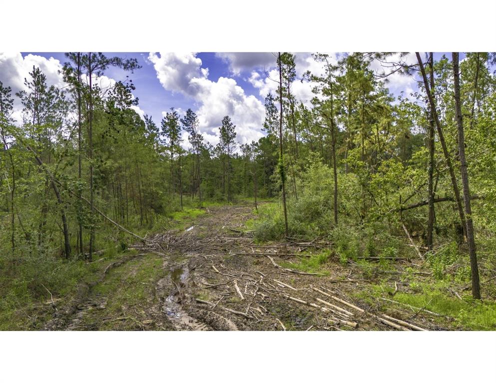 TBD Lot 002 Holland Road