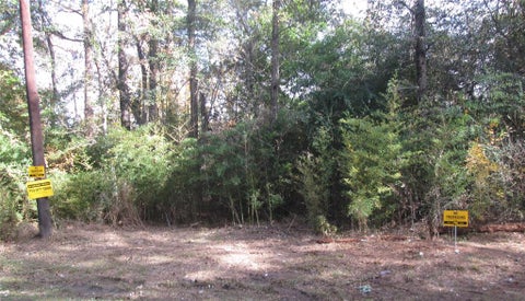 Vacant Land For Sale - Riverside Drive<br/> New Caney, TX 77357