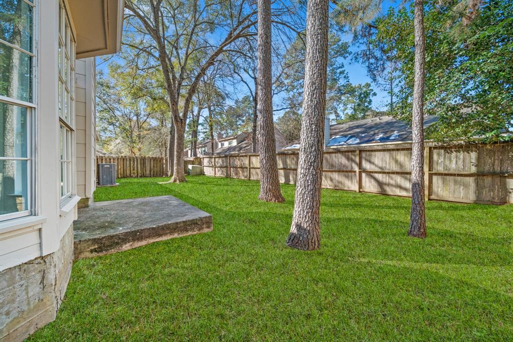 31 Cottage Grove Place, The Woodlands, Texas image 33