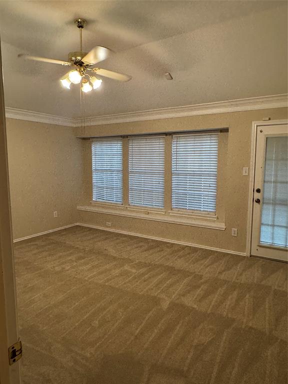 4318 Ringrose Drive, Missouri City, Texas image 8
