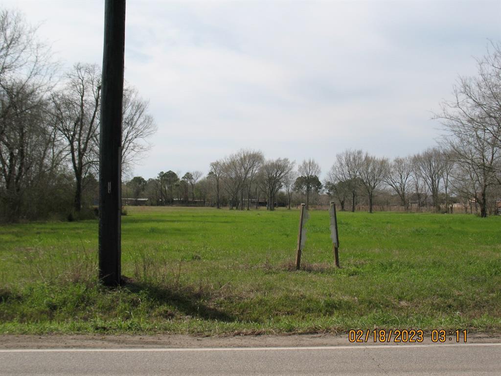 Hatfield Road, Pearland, Texas image 6