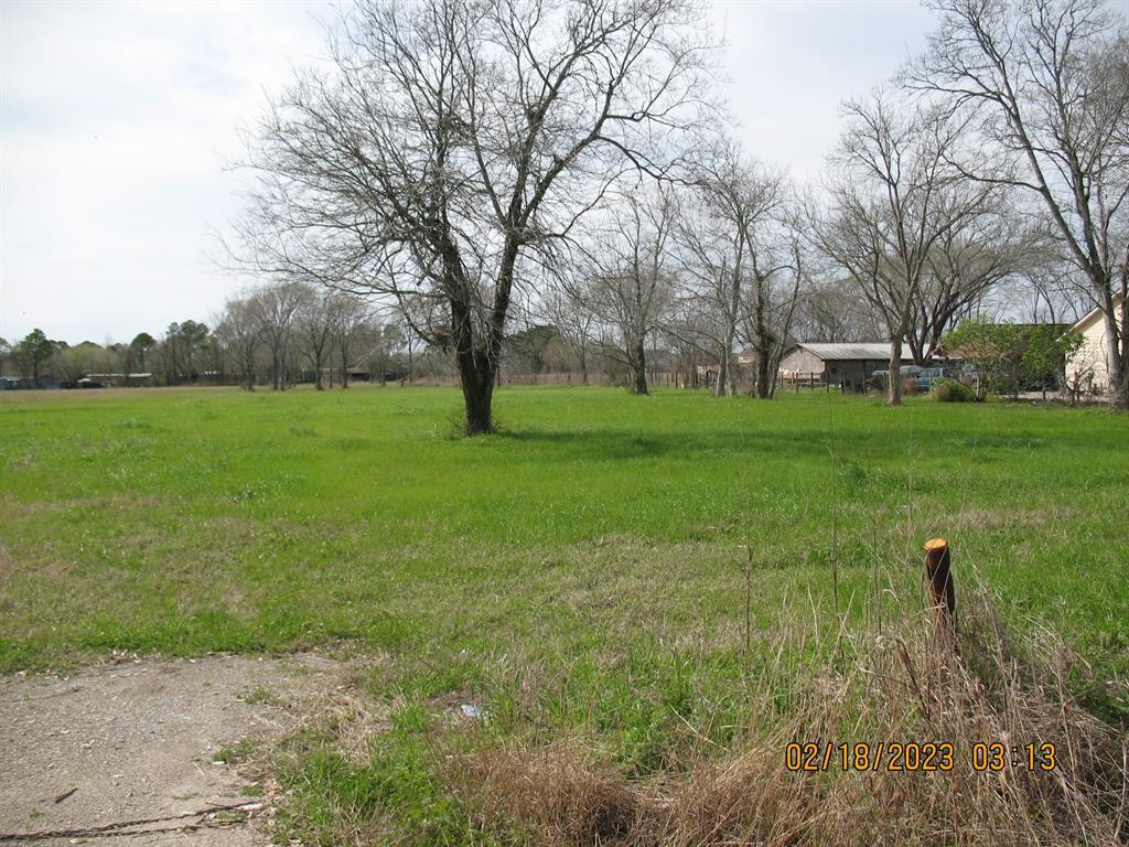 Hatfield Road, Pearland, Texas image 3