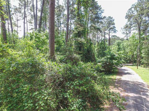 Vacant Land For Sale - TBD Grand Pine Rd<br/> Livingston, TX 77351