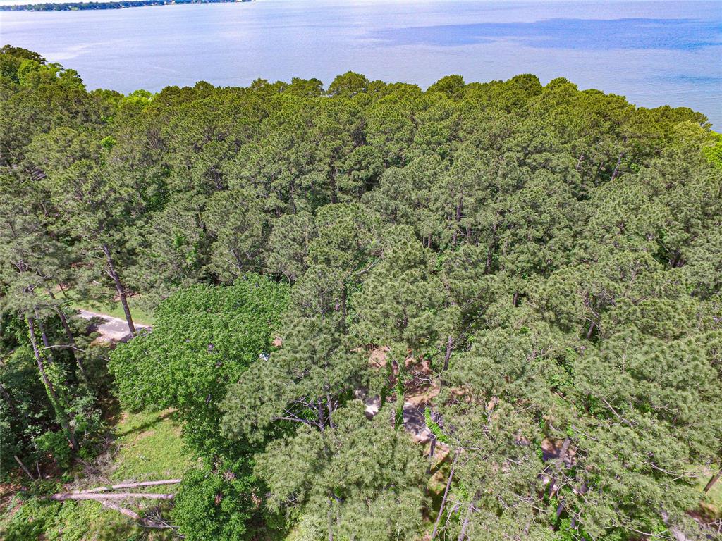 TBD Grand Pine Rd, Livingston, Texas image 10