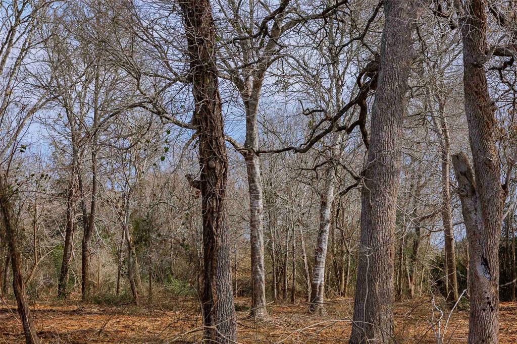 Tract 2 Walhalla Road, Round Top, Texas image 7