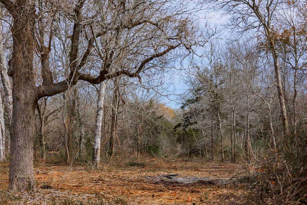 Tract 2 Walhalla Road, Round Top, Texas image 4