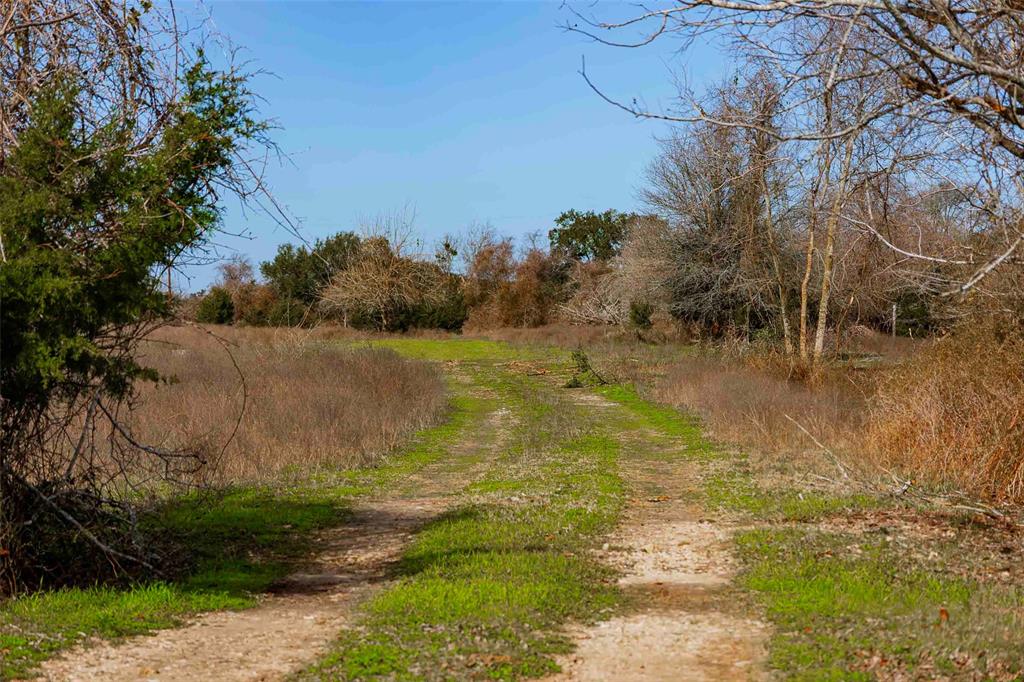 Tract 2 Walhalla Road, Round Top, Texas image 1