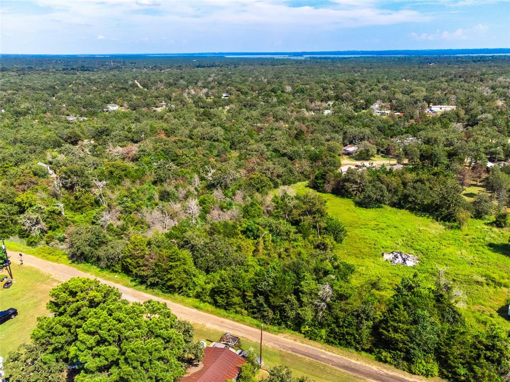 Lot 92 E Lois Lane, Somerville, Texas image 19