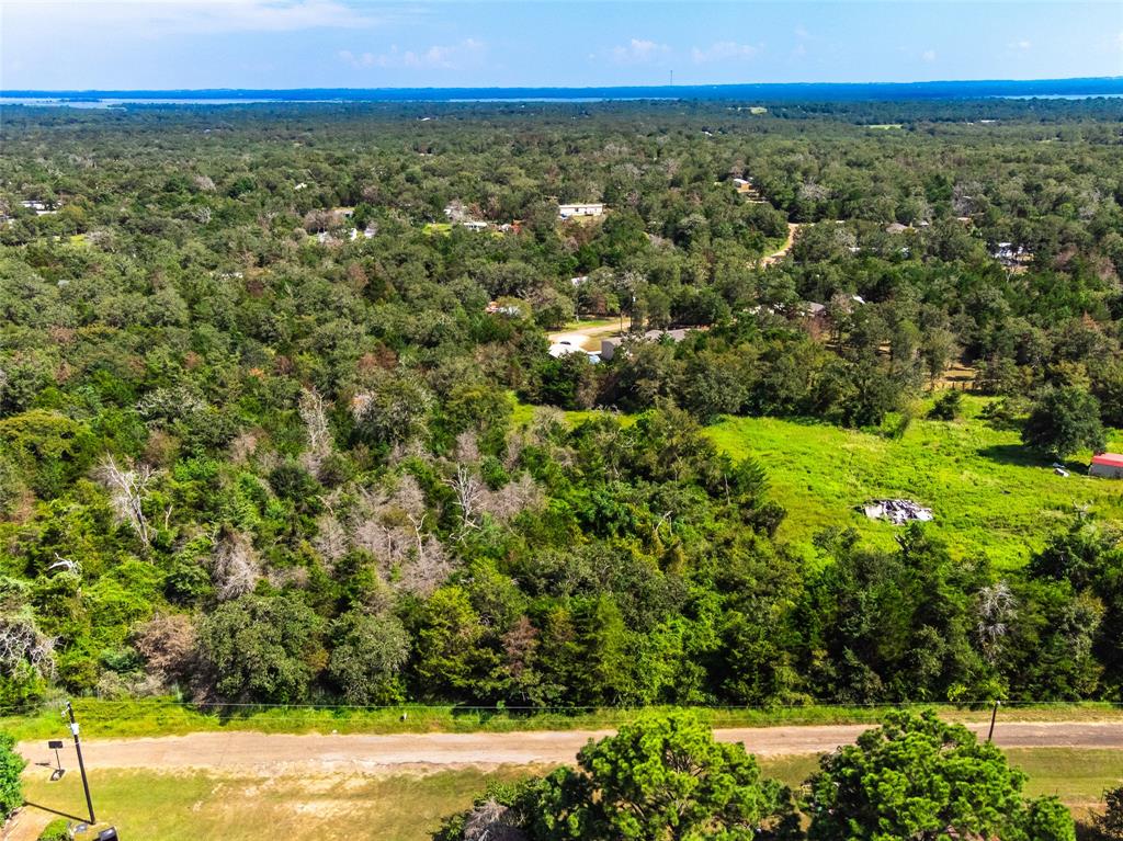 Lot 92 E Lois Lane, Somerville, Texas image 22